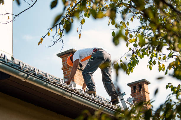 Roof Repair Estimates in Greenville, MS